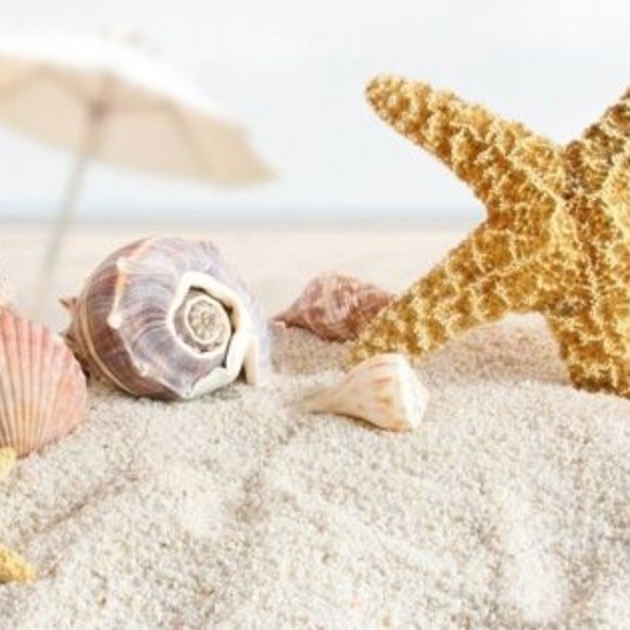 Coat and purse with wallet - Picture 2 of 4